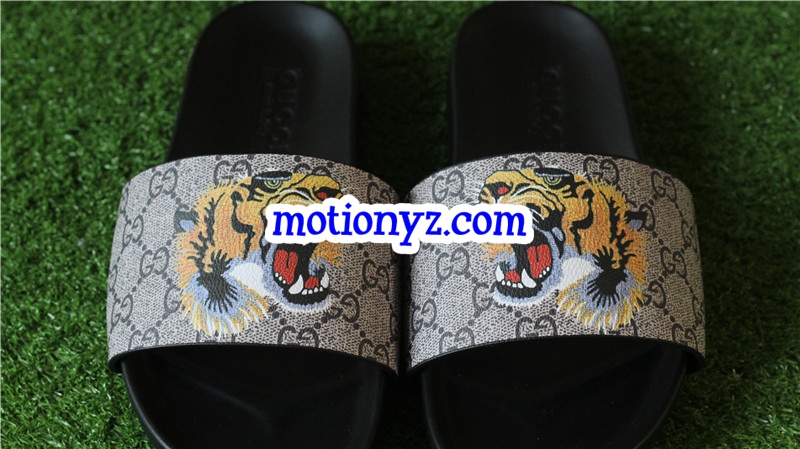 GC Slipper Tiger